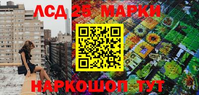 трава Новозыбков