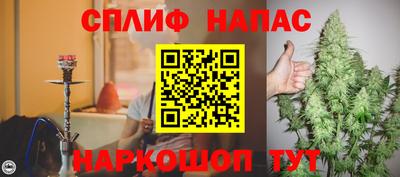 трава Новозыбков