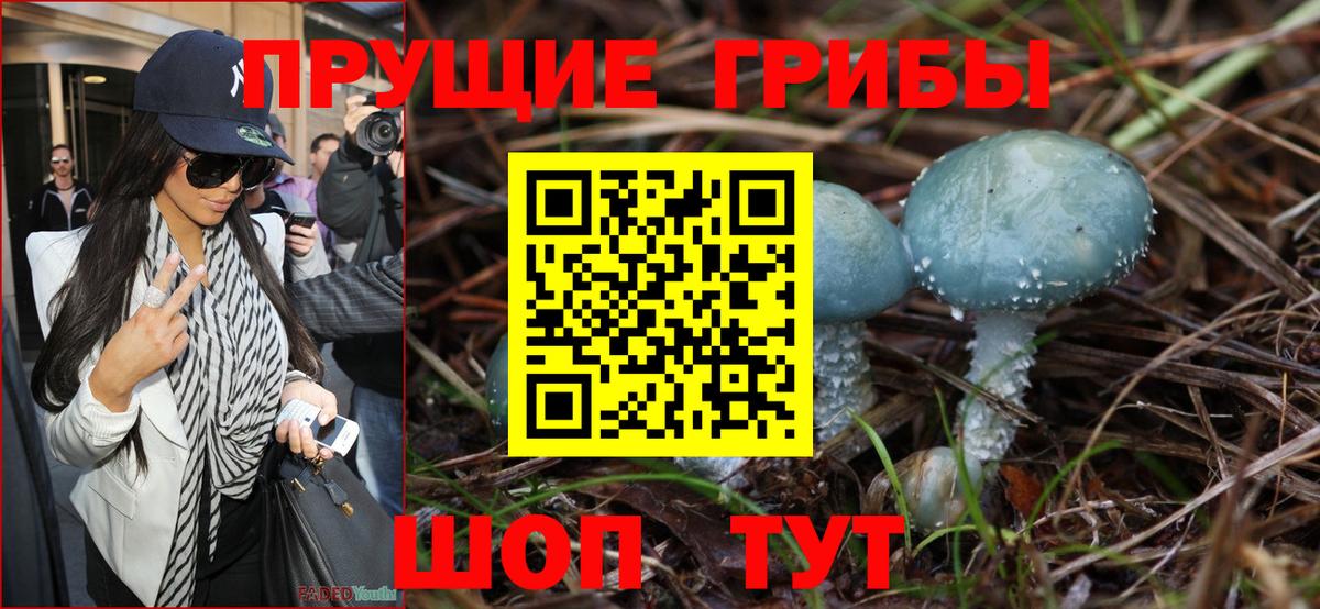 Псилоцибиновые грибы MAGIC MUSHROOMS  Псилоцибиновые грибы мухоморы  Махачкала  Вход с VPN 