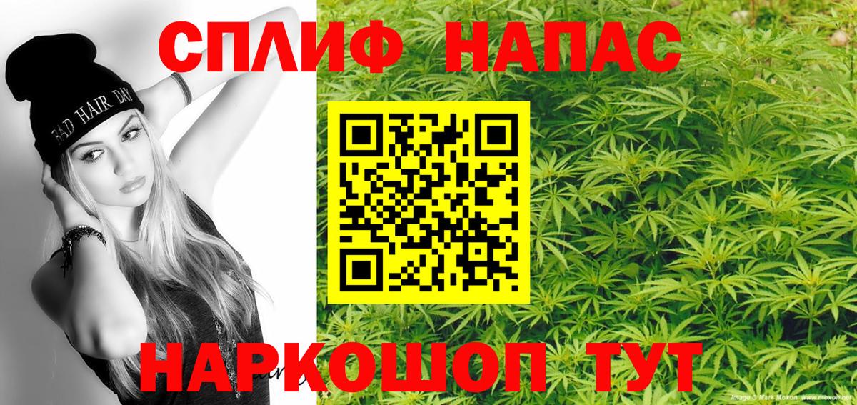 Конопля планчик Махачкала